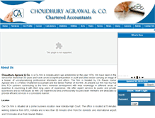 Tablet Screenshot of caindia.co